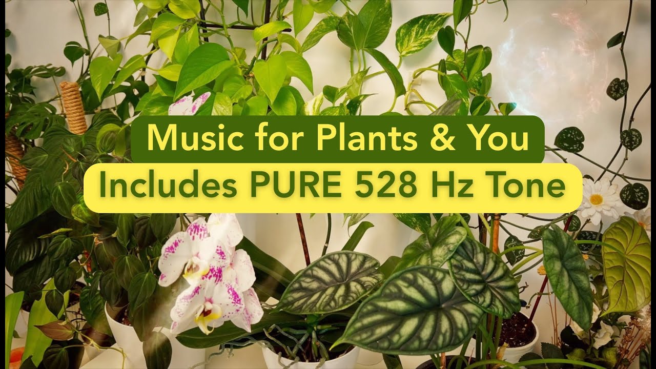 528 Hz Healing Music for Plants & People 🌱 Includes Pure Tone for DNA Repair & Vibrational Growth
