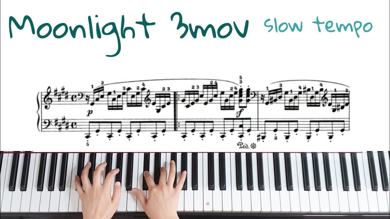 베토벤 '월광' 3악장 양손느리게(1) 악보배우기/Beethoven Moonlight 3rd.