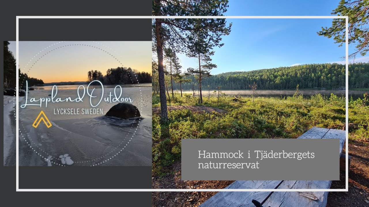 Hammock i Tjäderbergets naturreservat