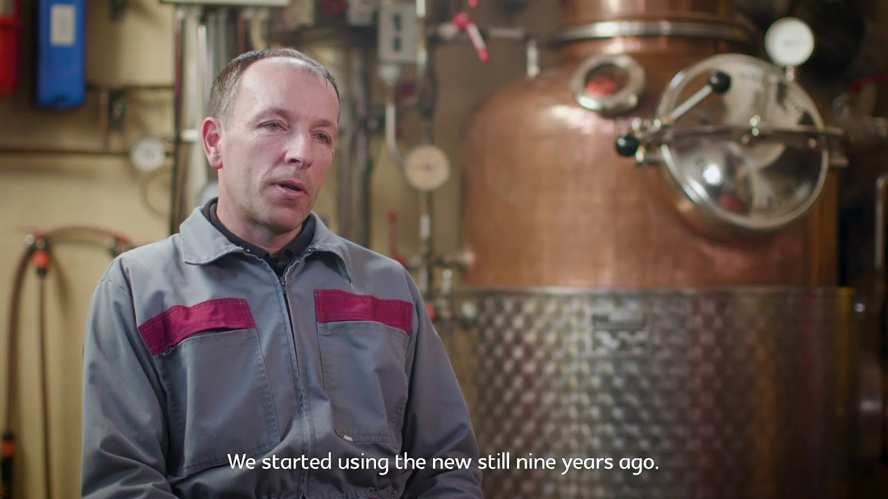 Alpine Food Heritage: Tepka pear and Tepkovec brandy (Slovenia)