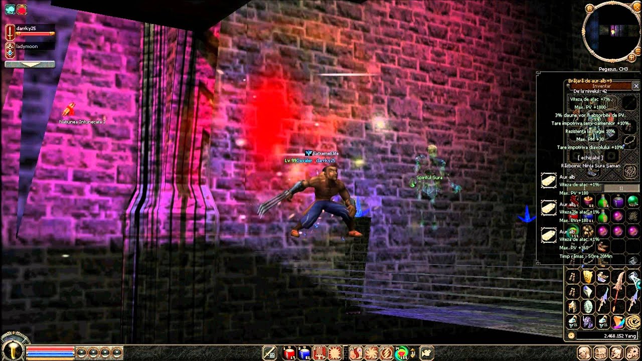 Metin2.ro Pegasus - darrky25 pvp items