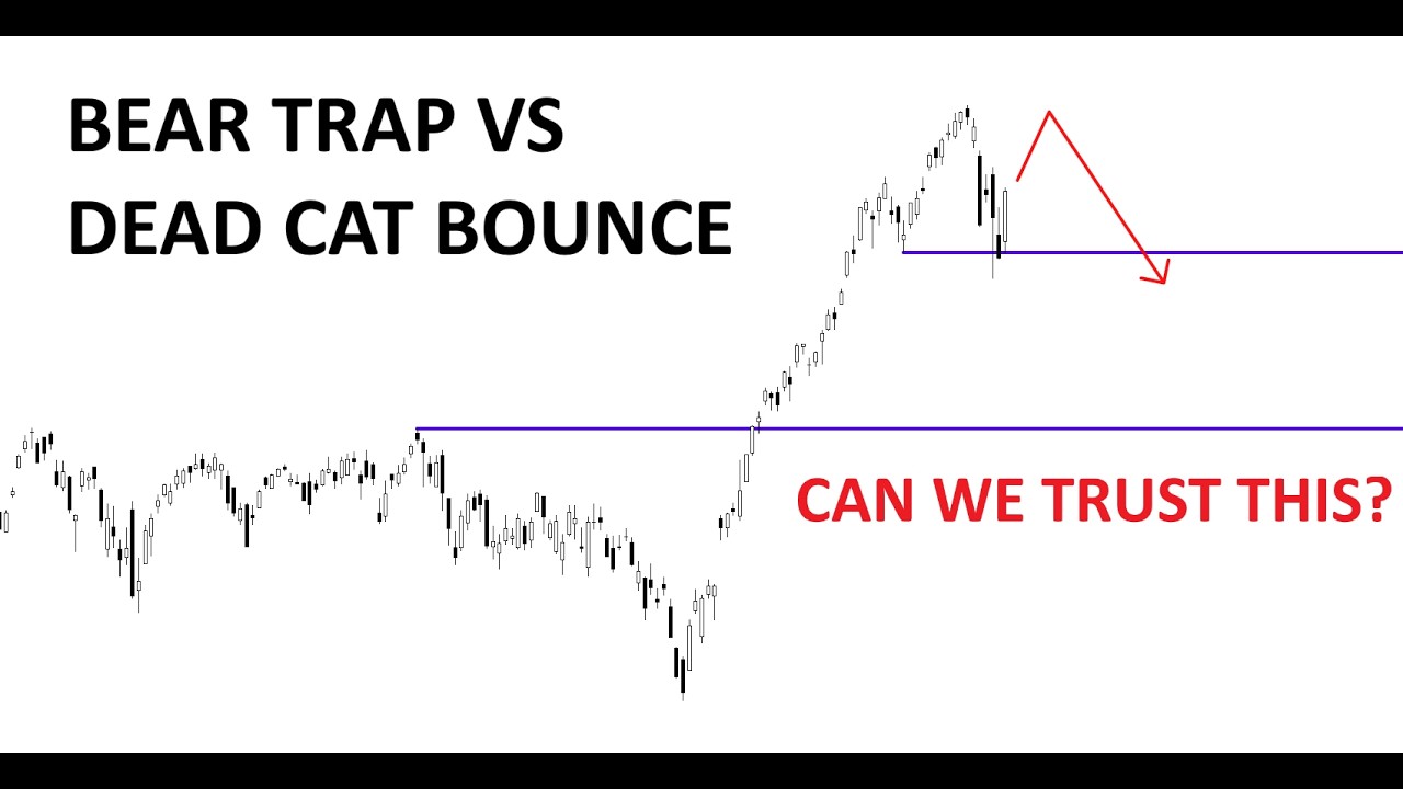 Technical Analysis of Stocks: SPY / QQQ / NVDA / TSLA / AMD / PLTR / MSFT