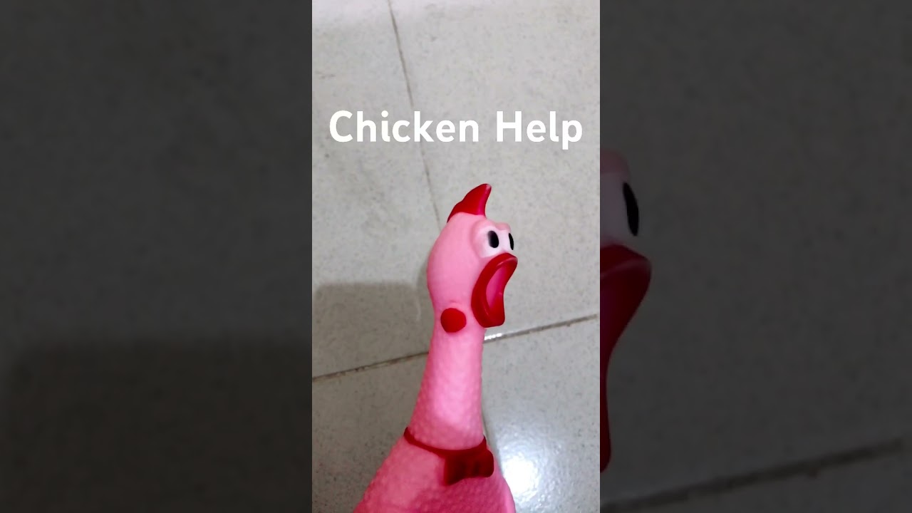 Chicken ask for help