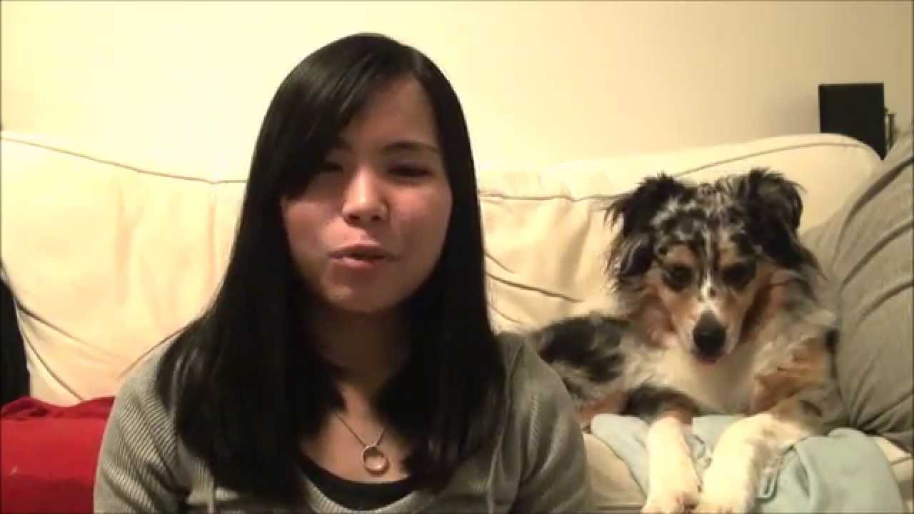 Pet Product Review #01 - Back On Track Dog Coat