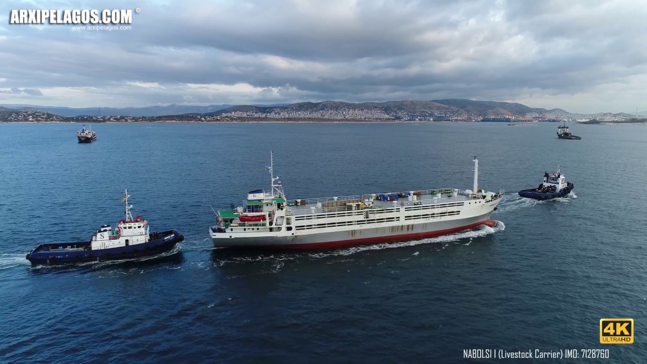 NABOLSI I - Livestock Carrier  IMO: 7128760  Aerial (drone) video