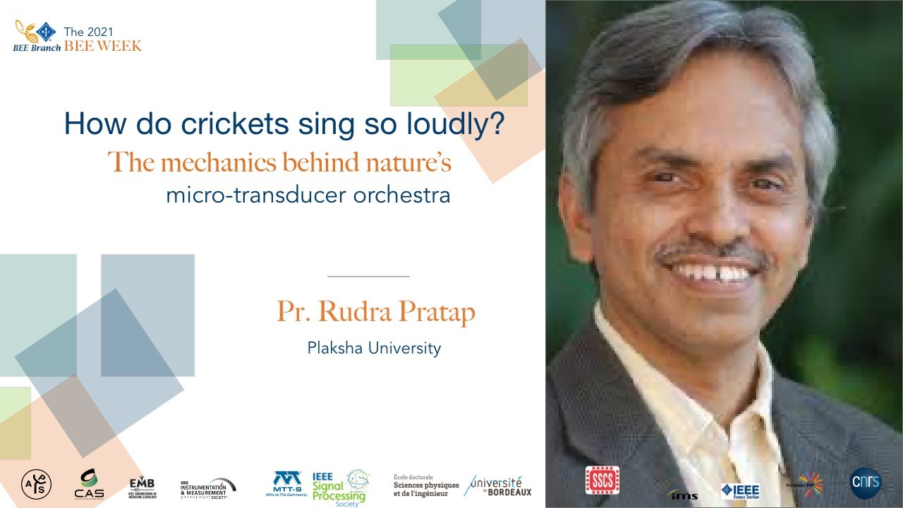 The mechanics behind Nature's micro-transducer orchestra, Pr Rudra Pratap