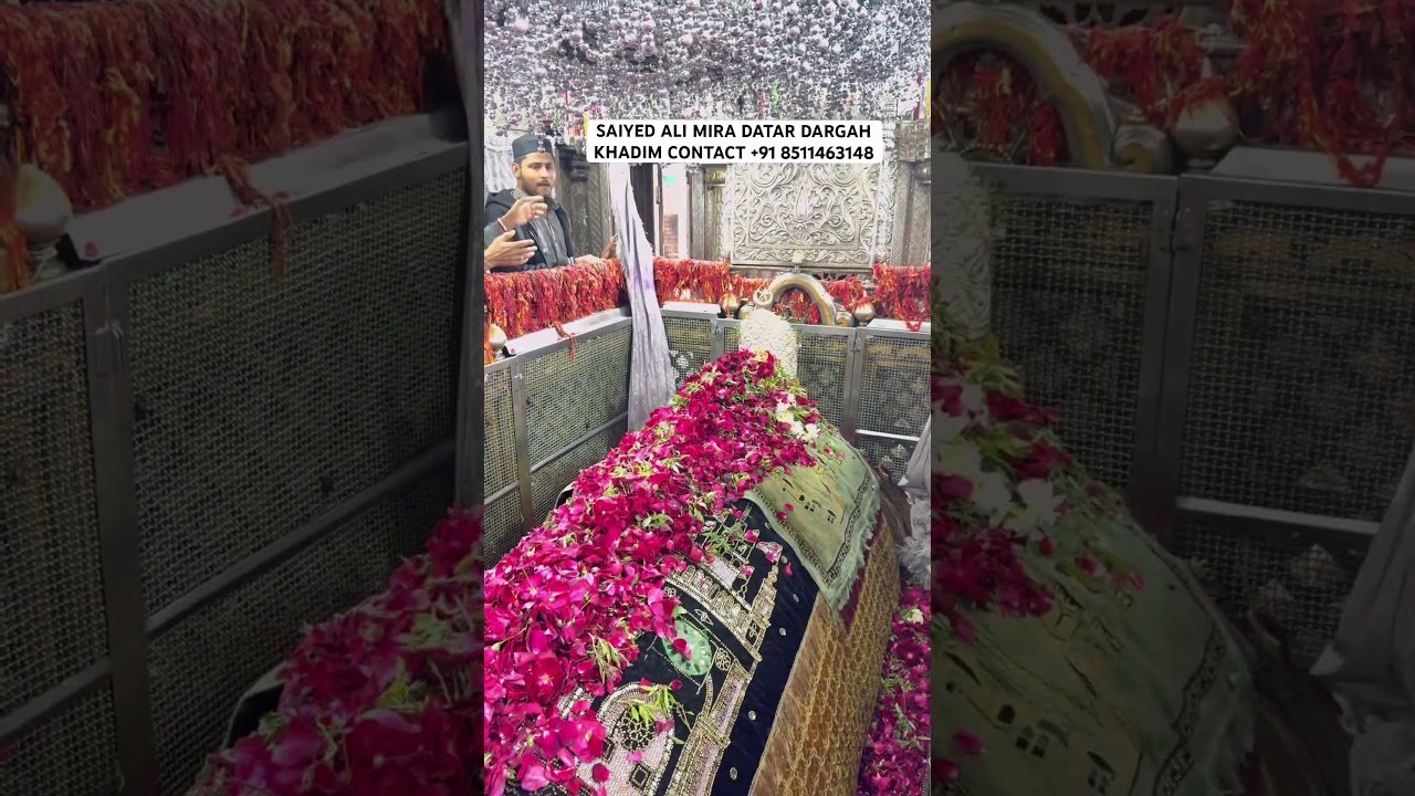 mira datar dargah sharif New qawwali whatsapp 😍status video 📷 dargah sharif contact +918511463148