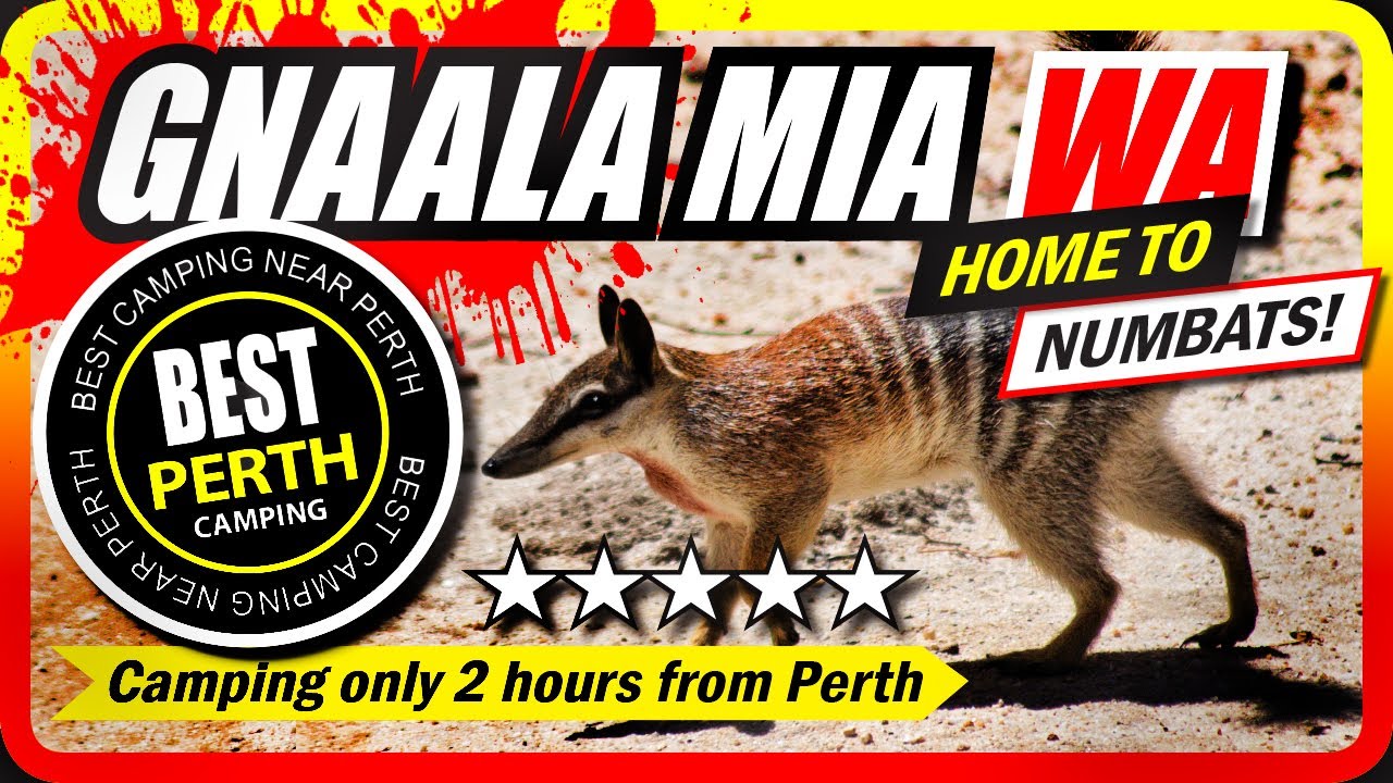 Western Australia's BEST EVER Camping Spots! GNAALA MIA!