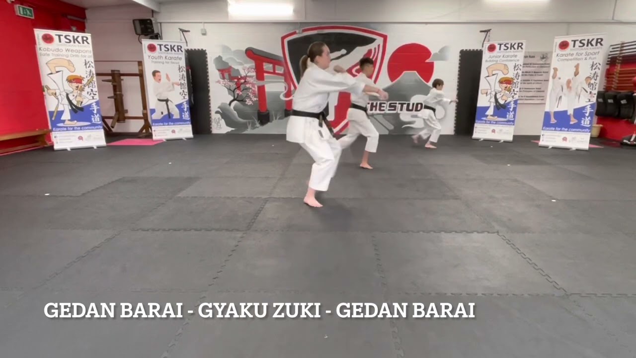 3rd Kyu Karate Kihon Basics Brown Belt 3rd Kyu