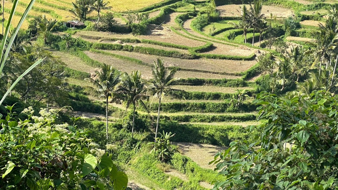 Bali z Rainbow maj 2023