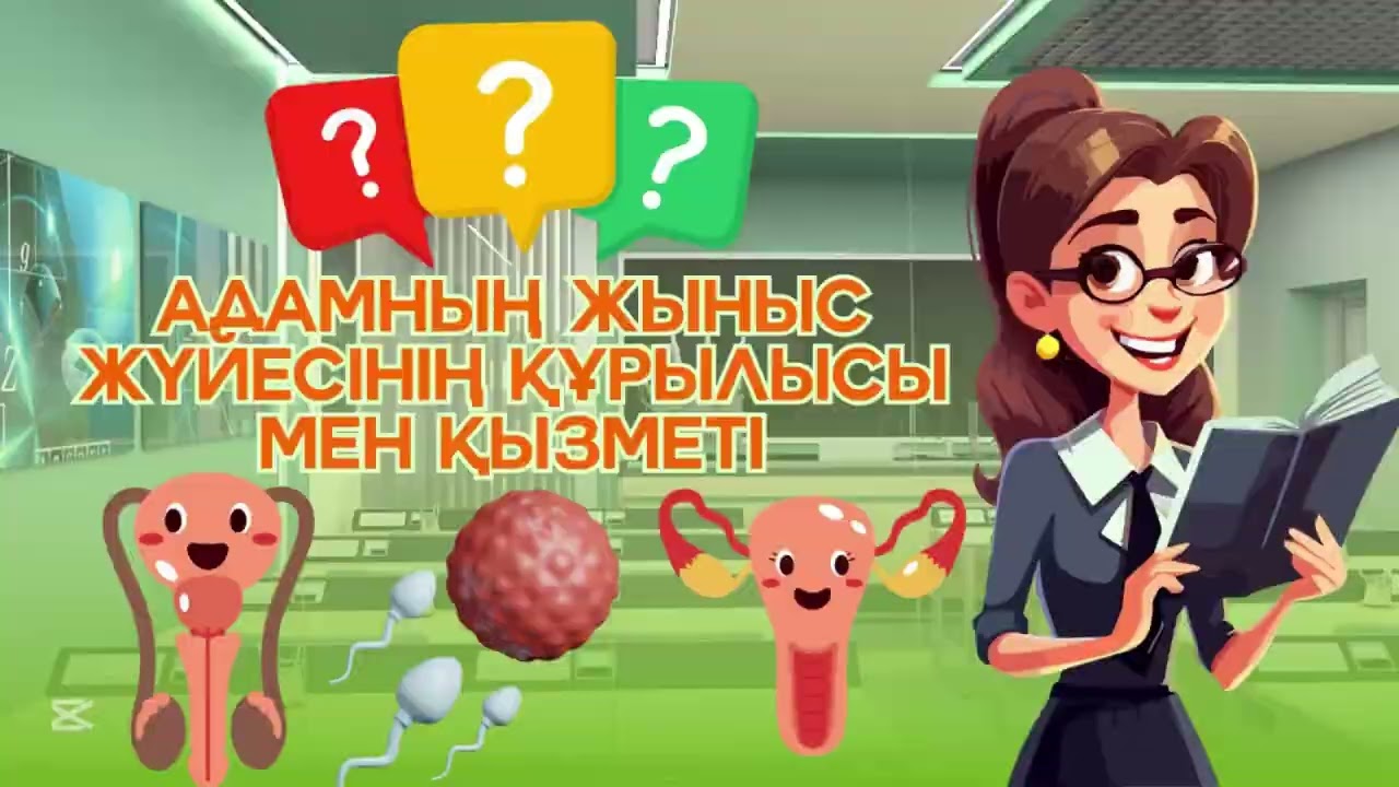 Адамның жыныс жүйесінің құрылысы мен қызметі.