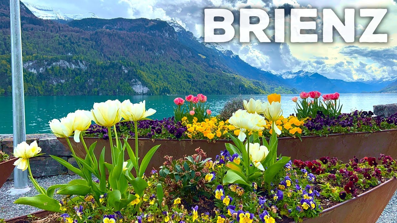Brienz Switzerland | Walking Tour 4K