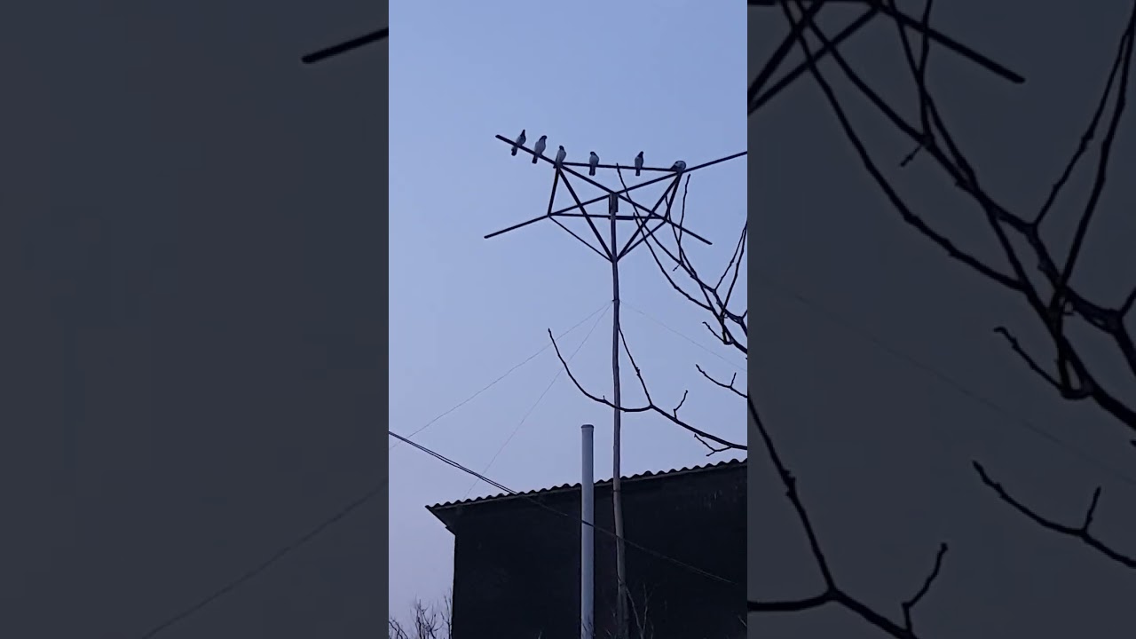 31 января 2026 г.