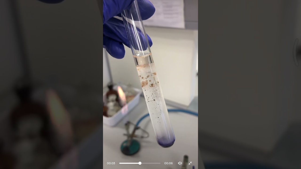 laboratory technologist 