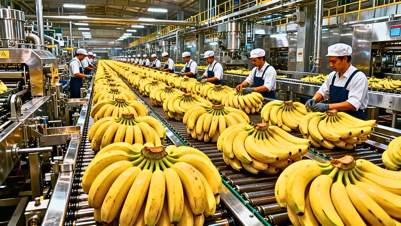 Inside the banana chips factory full process revealed | Future Forge