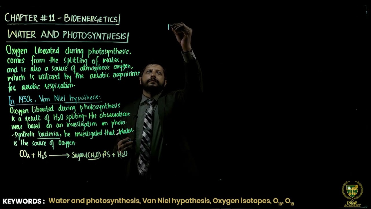 Water and Photosynthesis || 11TH BIOLOGY || CHP 11 || LECTURE 2 ||