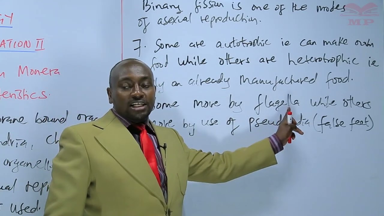 Characteristics of Kingdom Monera_L3