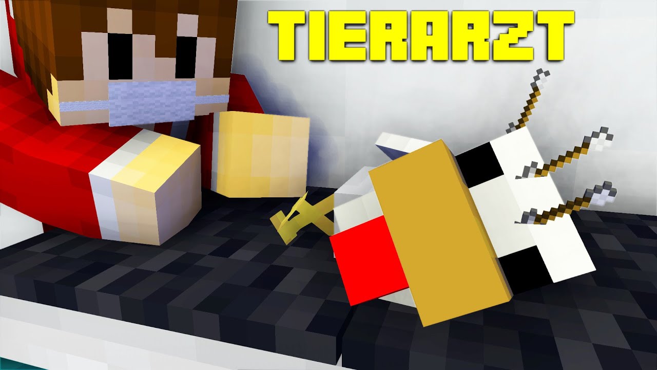Tierarzt in Minecraft | Minecraft Abenteuermap | LarsLP