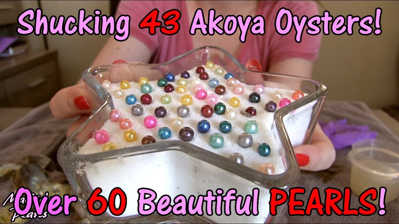 The NEW Biggest Akoya Oyster Shuck EVER! 43 Oysters + Triplets + Quads + 60 PEARLS! WOW! Pearl Party