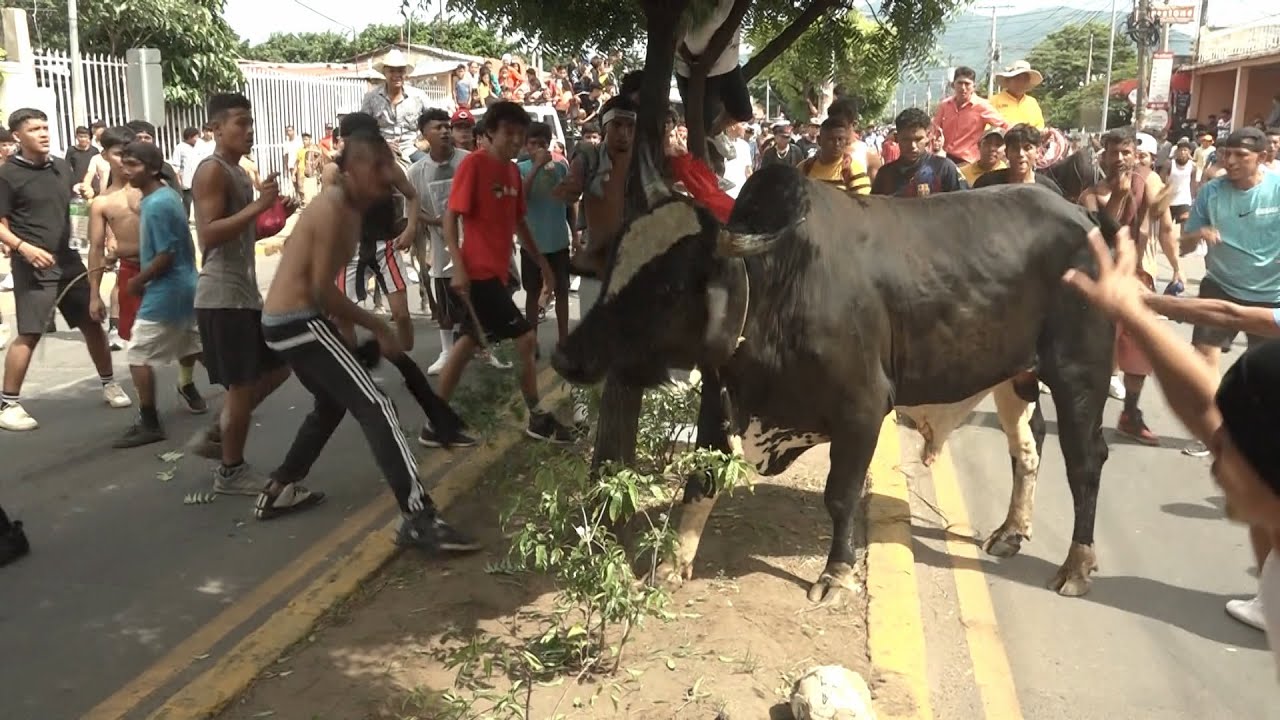 Granada celebra corrida de toros en honor a la Virgen de la Asunción