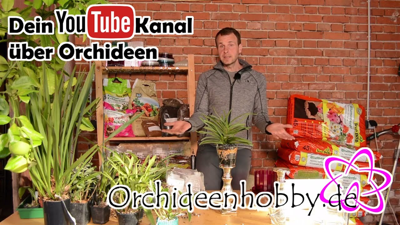 Colomi-Substrat: Die beste Wahl f&uuml;r Ihre Orchideen