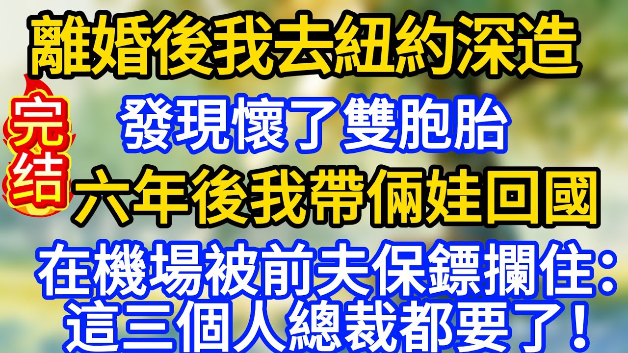 離婚後我去紐約深造，發現懷了雙胞胎，六年後我帶倆娃回國，在機場被前夫保鏢攔住：這三個人總裁都要了！