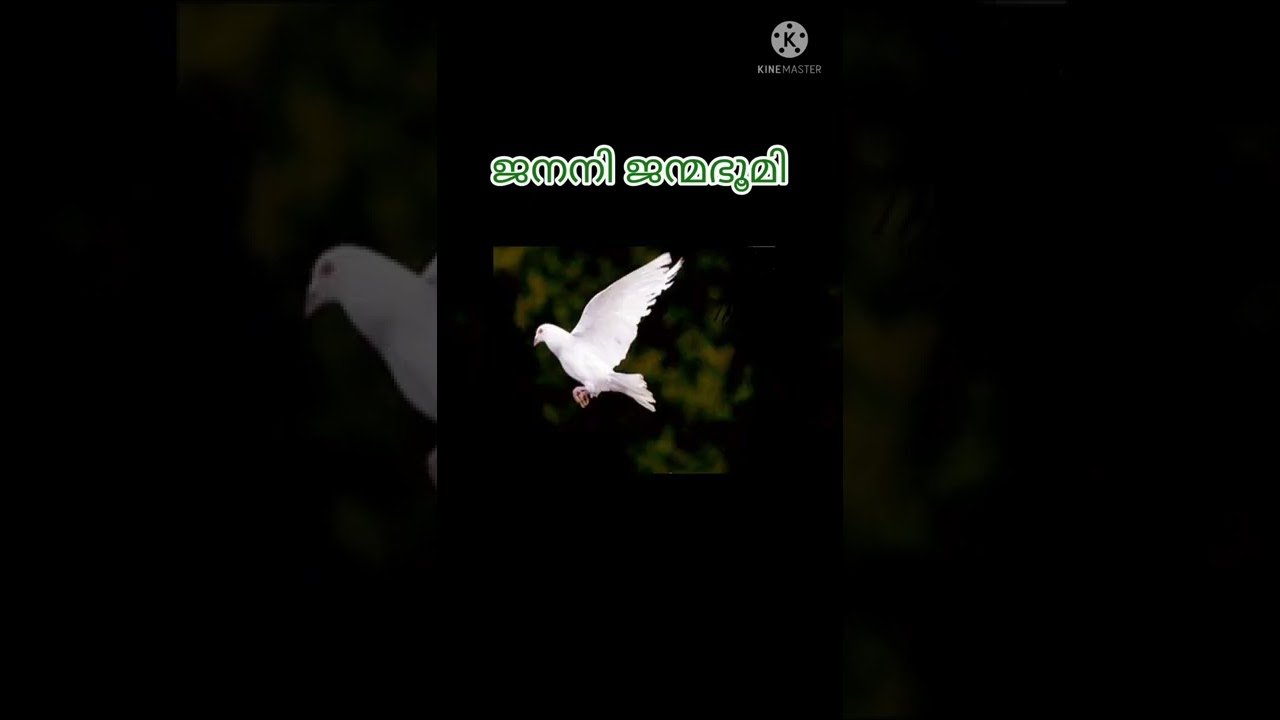 ജനനി ജന്മഭൂമി JANANI JANMABHUMI by Ramkumar Marar & Prasad Amarazhiyil