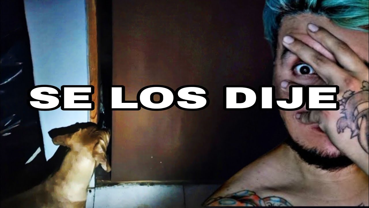 Mi Perrito Descubrio Algo En Mi Closet Que Tuvimos Que Salir Corriendo Del Cuarto 😢