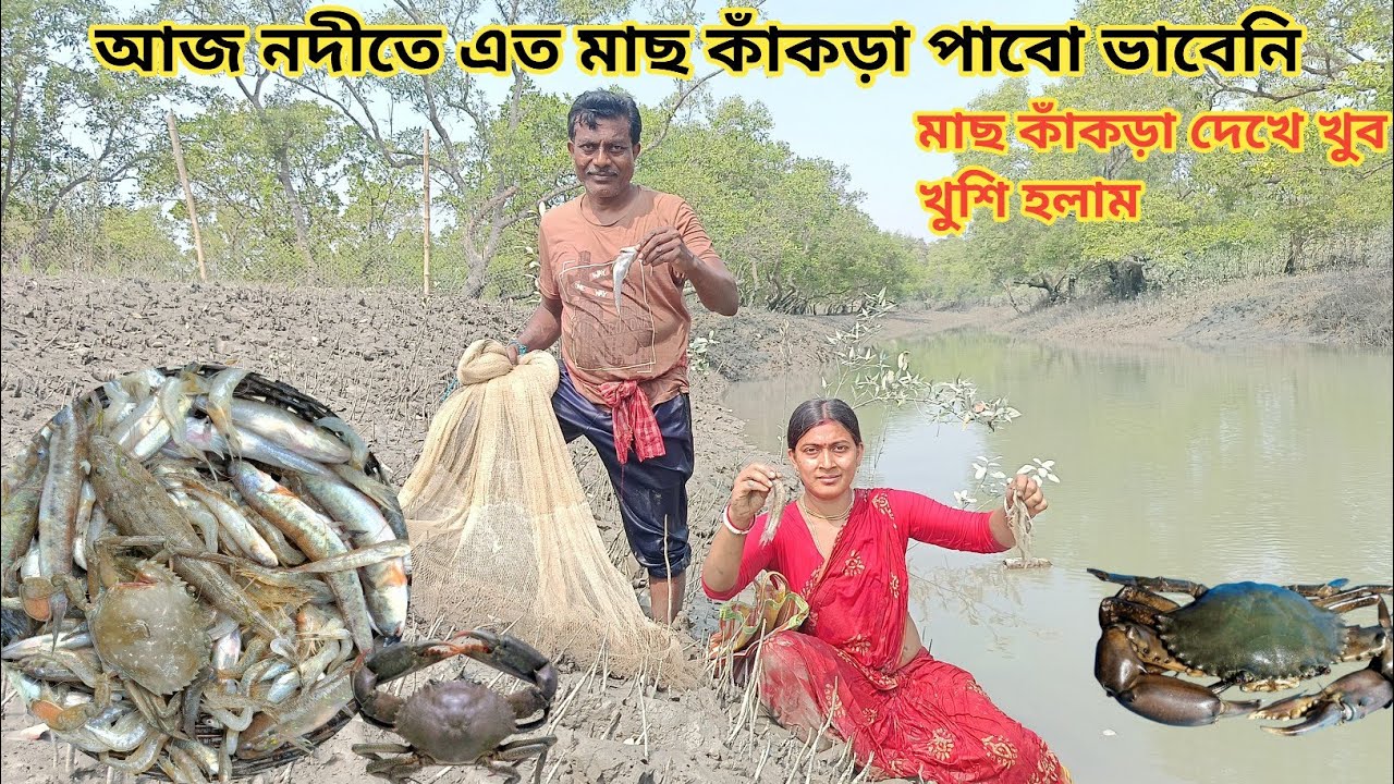 অনেকদিন পর বাবা আর আমি নদীতে গিয়ে অনেক মাছ ও কাঁকড়া ধরলাম ll Nandita Sundarban life 
