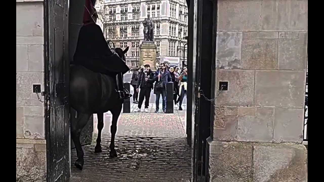 Peter Ellis The Royal Guard 2024