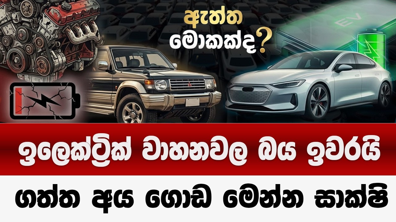 ඉලෙක්ට්‍රික් වාහන බය ඉවරයි  | ගත්ත අය ගොඩේ ගොඩ මෙන්න සාක්ෂි | srilanka electric car  2026