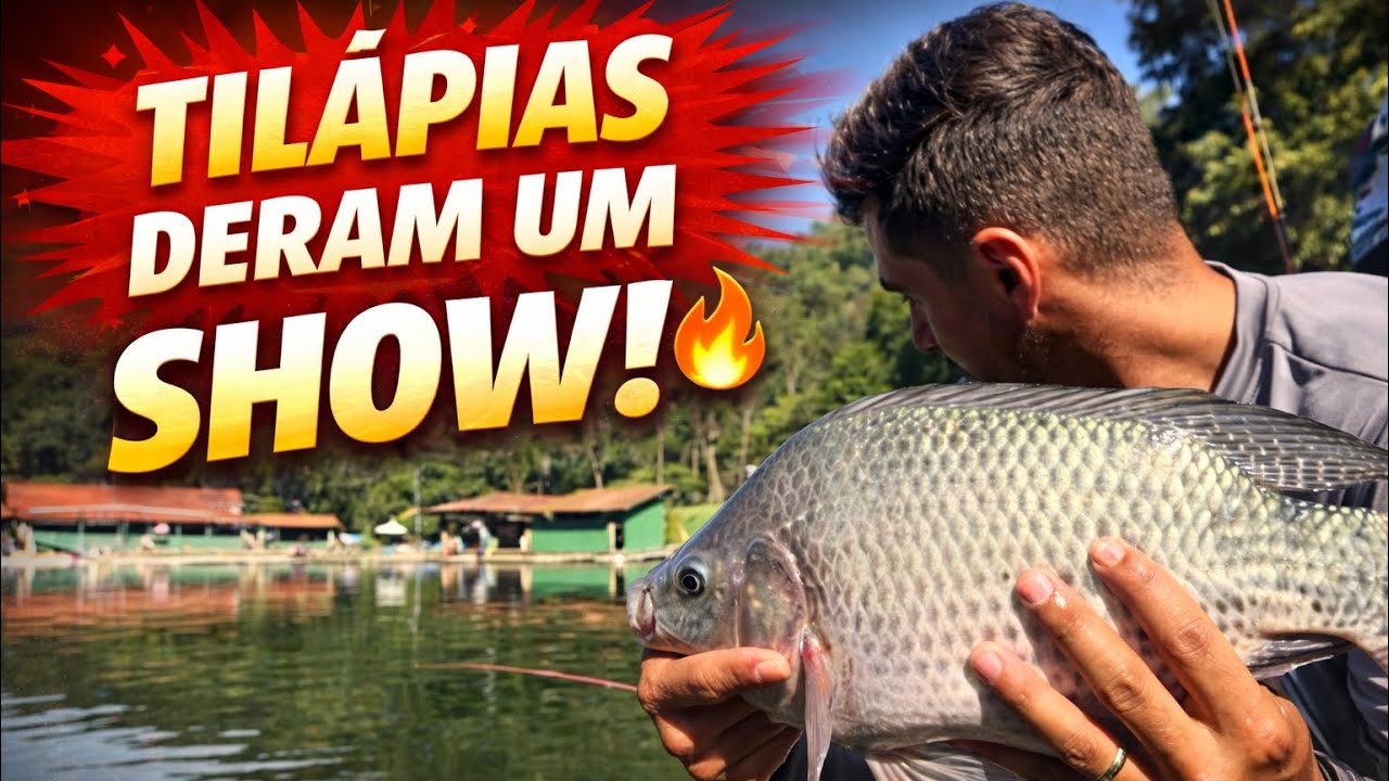Tilápias Deram um Show! Varinha de Mão Salvou a Pescaria 🎣