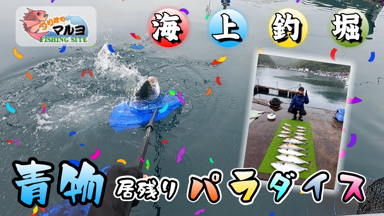 【海上釣堀】青物は自分で掬え！！