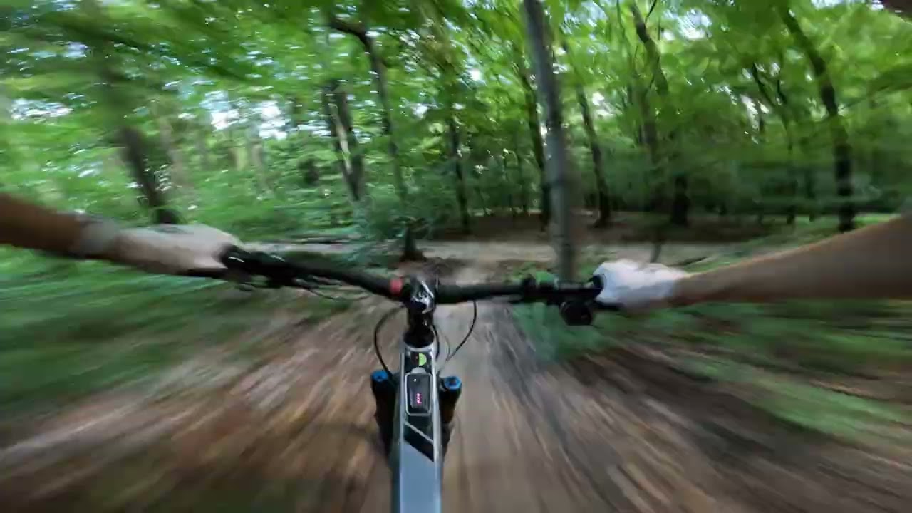 Tasman -  enduro - Las Wolski