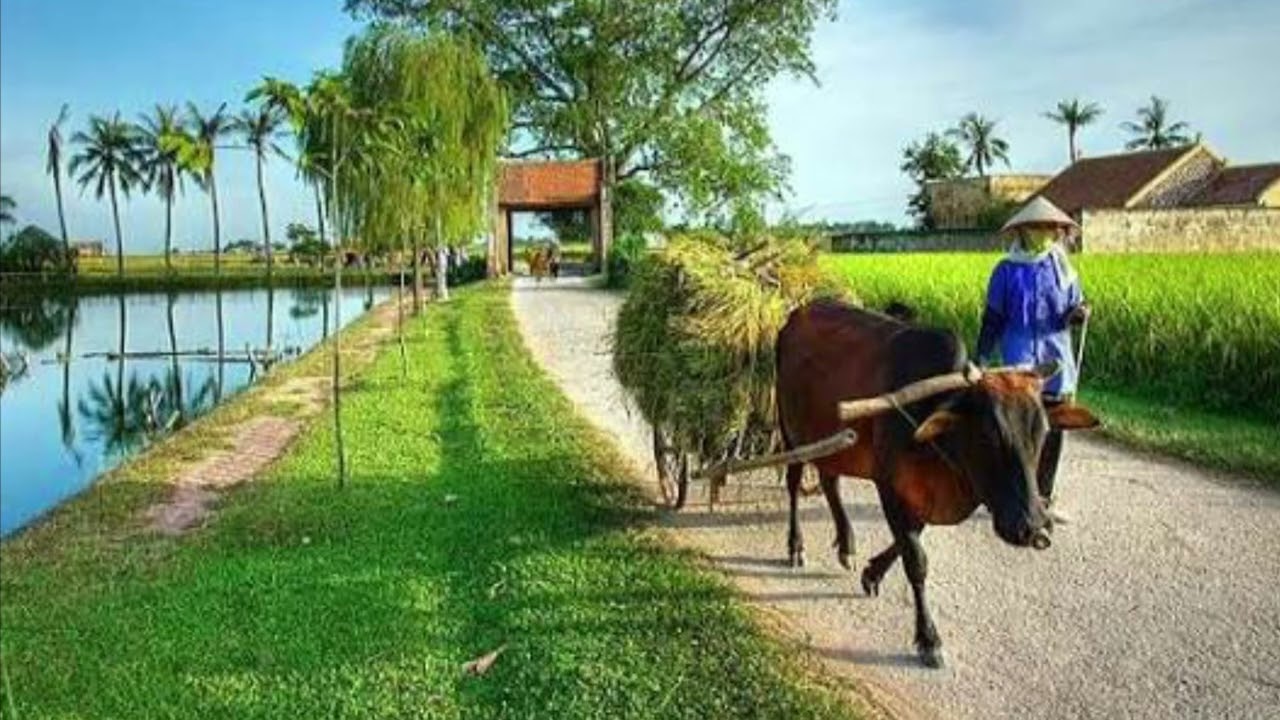 Người di tản buồn - ST: Nam Lộc