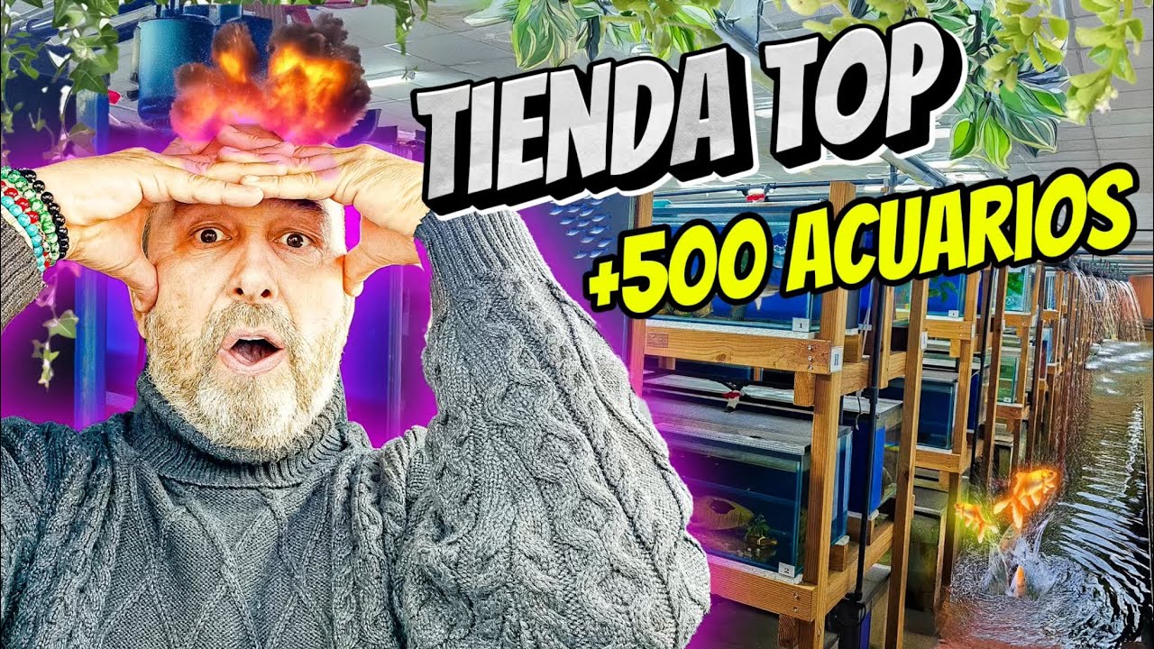 MEJOR TIENDA DE PECES ESPECIALIZADA EN TANGANICA DE FRANCIA | + 500 ACUARIOS