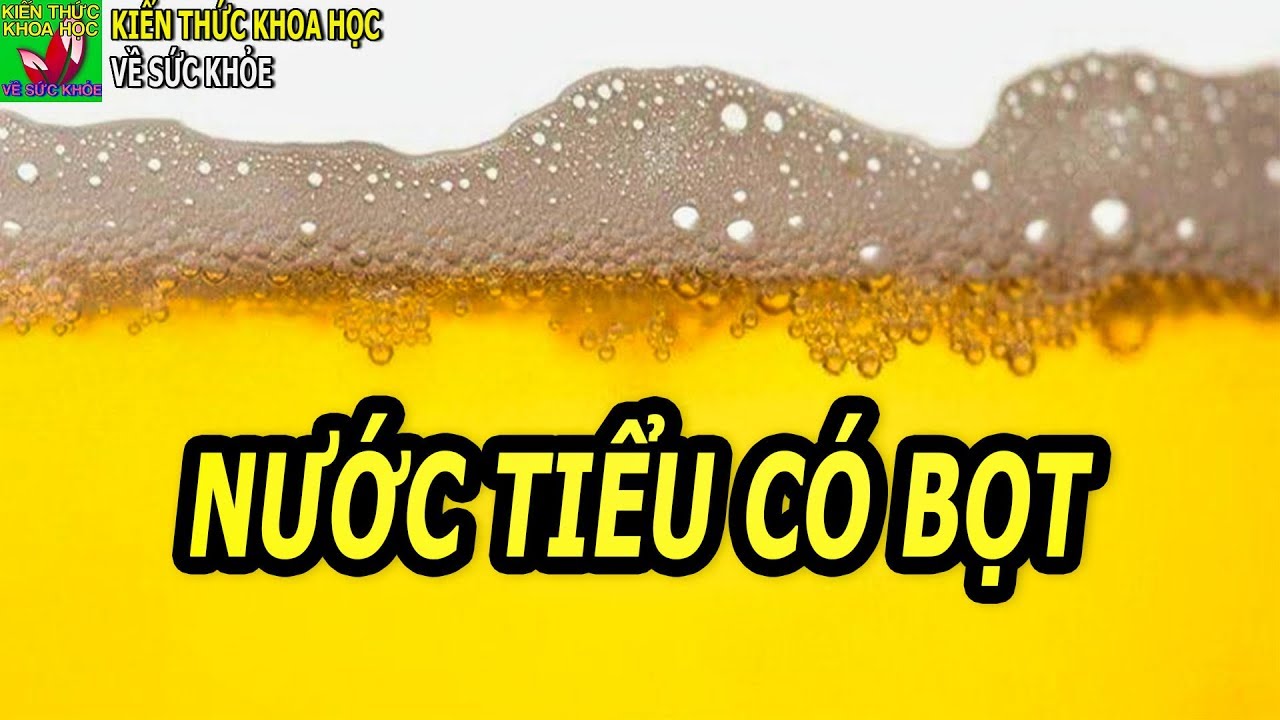 Nước tiểu c&oacute; bọt l&agrave; bệnh g&igrave; tại sao đi tiểu nước tiểu lại c&oacute; bọt