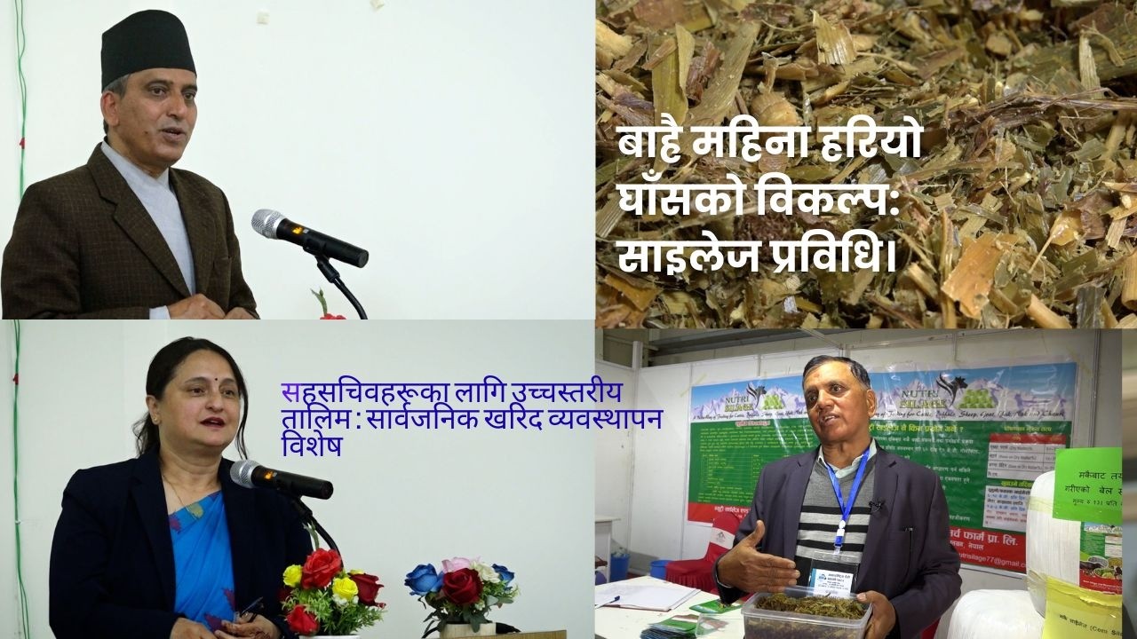 खरिद प्रक्रियामा हुने त्रुटि कम गर्न उच्चस्तरीय तालिम; सचिव डा. राजेन्द्र प्रसाद मिश्रको जोड