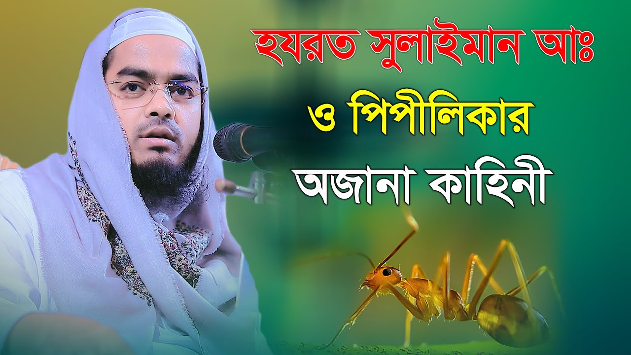 হযরত সুলাইমান আঃ ও পিপীলিকার অজানা কাহিনী || মাওলানা হাফিজুর রহমান সিদ্দিকী