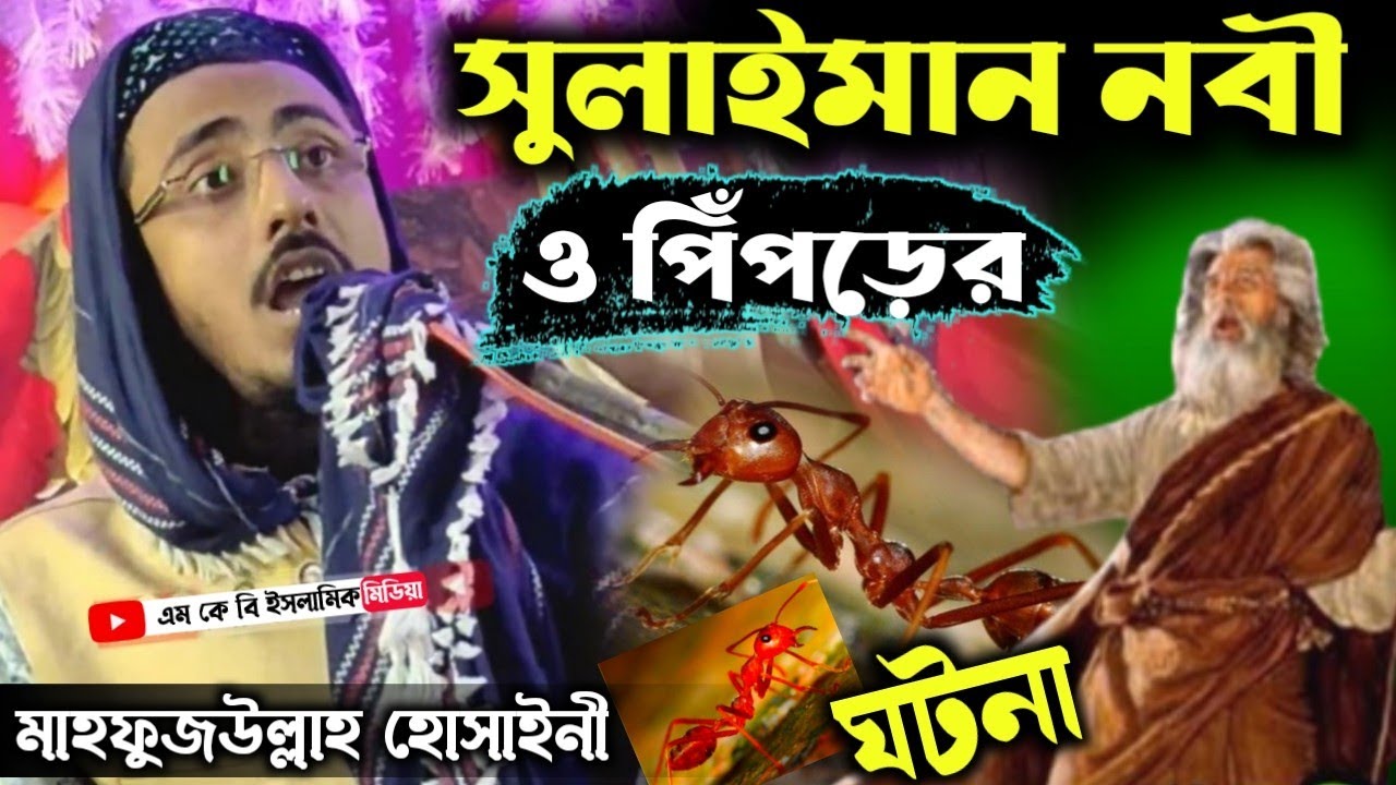সুলাইমান নবী ও পিঁপড়ের ঘটনা┇মাহফুজউল্লাহ হোসাইনী ওয়াজ┇Pirjada Mahafujulla Hossani waz jolsa