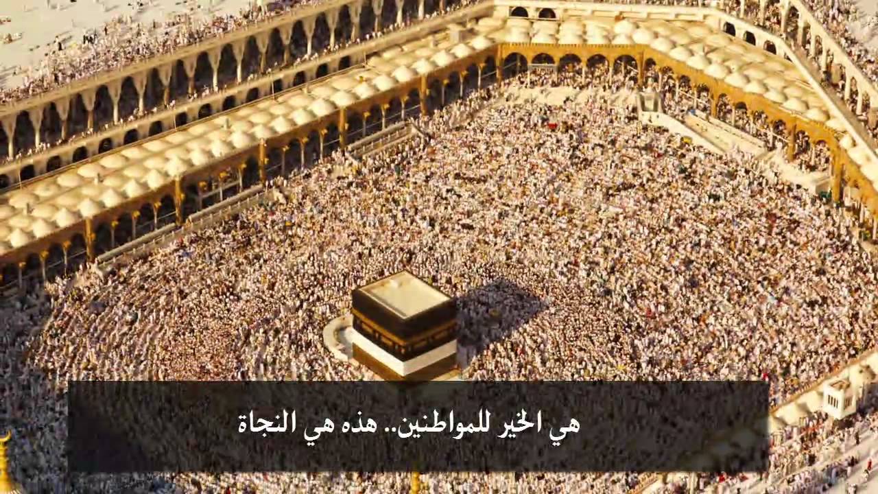 كلمة مؤثرة للشيخ محمد المغراوي حفظه الله
