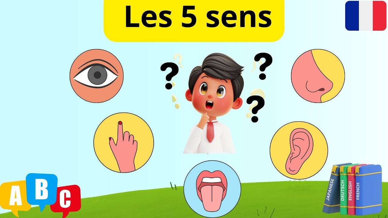 les cinq sens en Français
