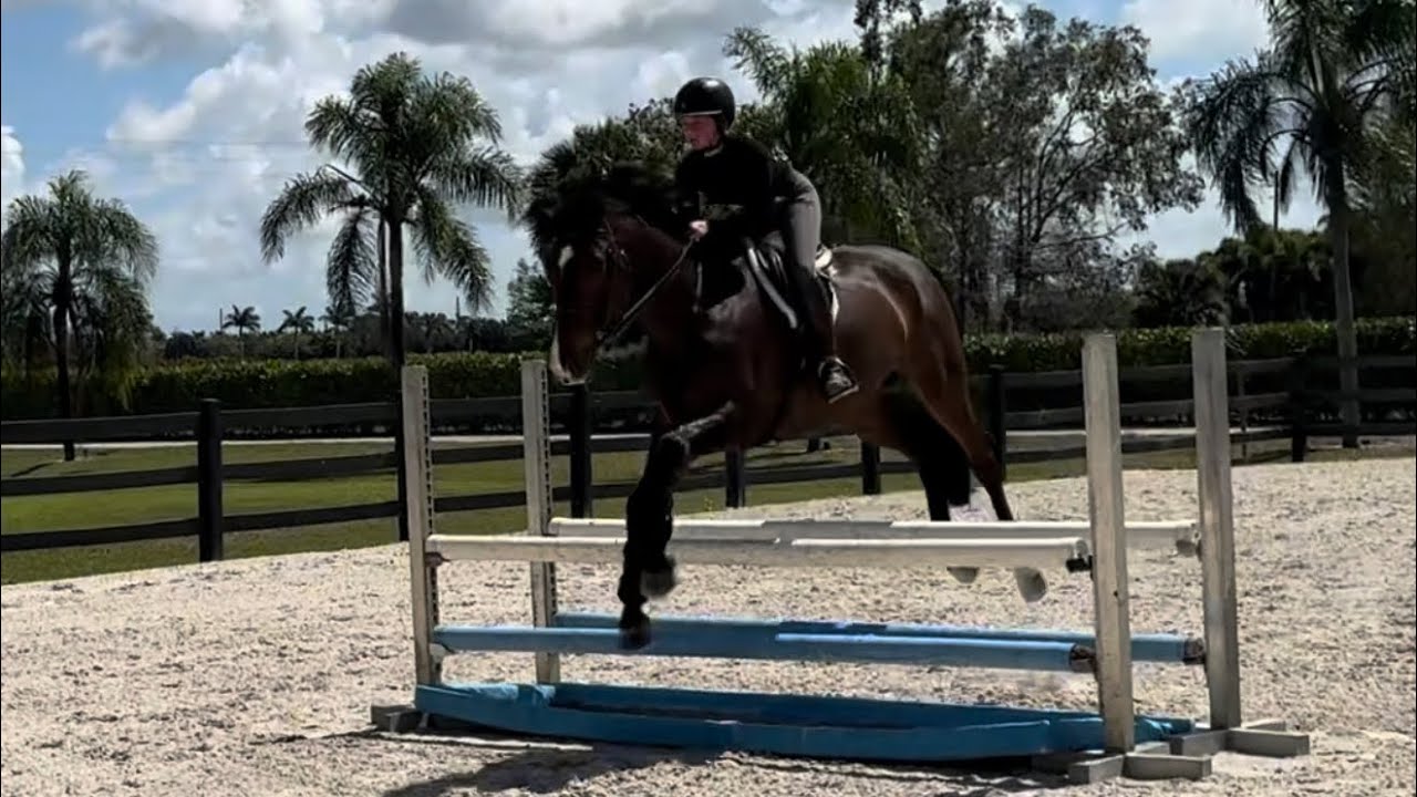 Fan Fan B (Eq Trial)