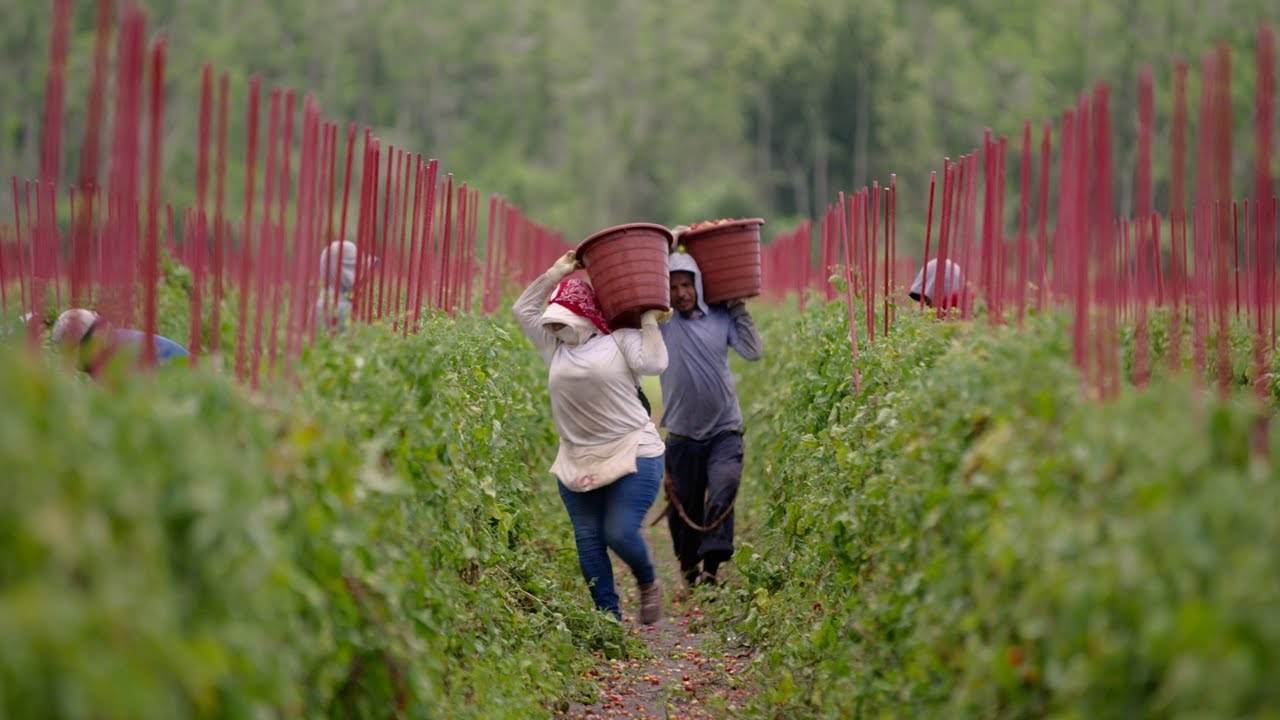Food, Inc. 2 &bull; Trailer