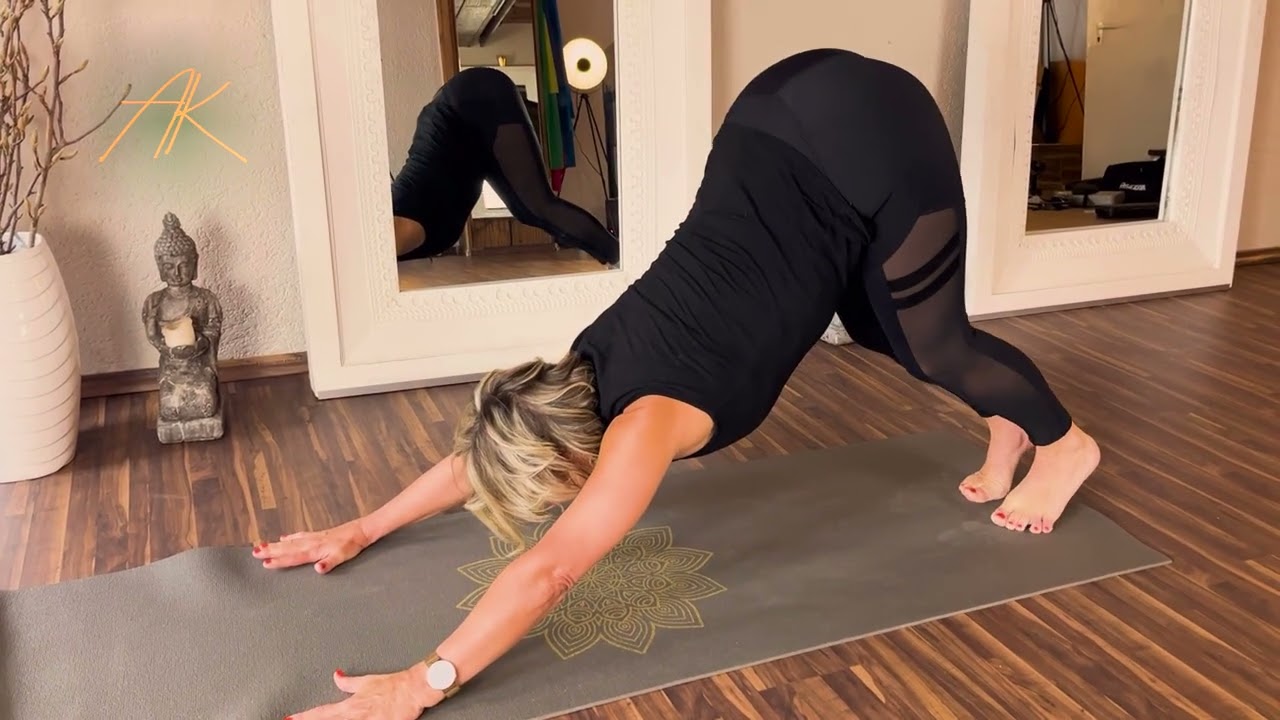 Yoga Faszien Teacher    Flow Vinyasa   Herauf & herabschauender Hund  Königstaube (YM I/II)
