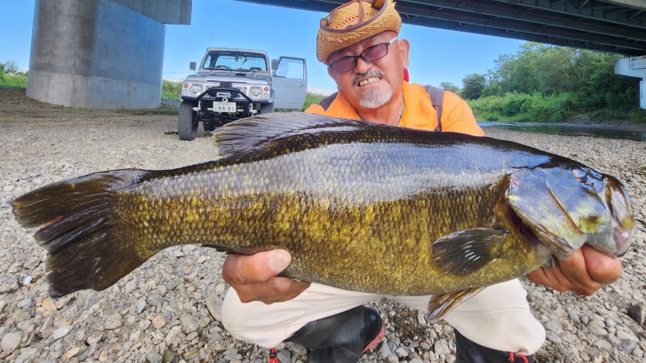 53cm スモールマウスブラックバス釣り入間川🎣🐟