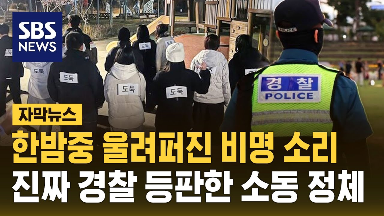 "남자에 쫓기고 있다" 신고 전화…한밤중 울려퍼진 비명 정체 (자막뉴스) / SBS