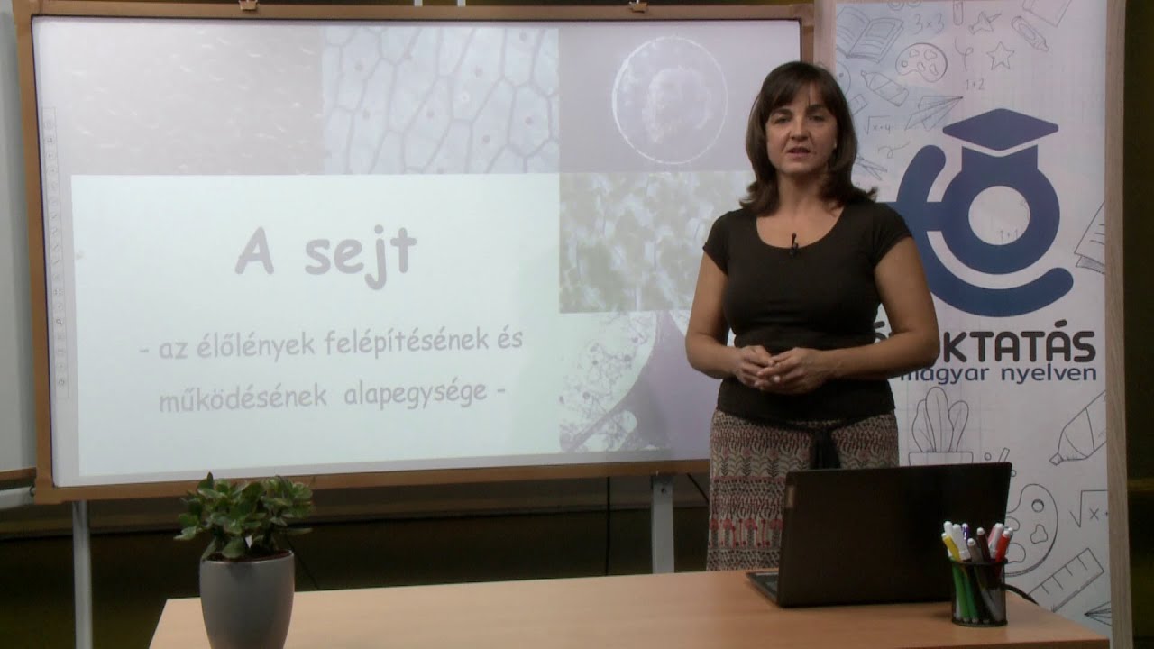 A sejt – az élőlények felépítésének alapegysége
