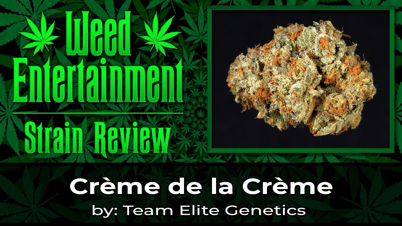 Cr&egrave;me de la Cr&egrave;me - by Team Elite Genetics - Strain #5 from the TEG 8 Strain Box. - August 2023