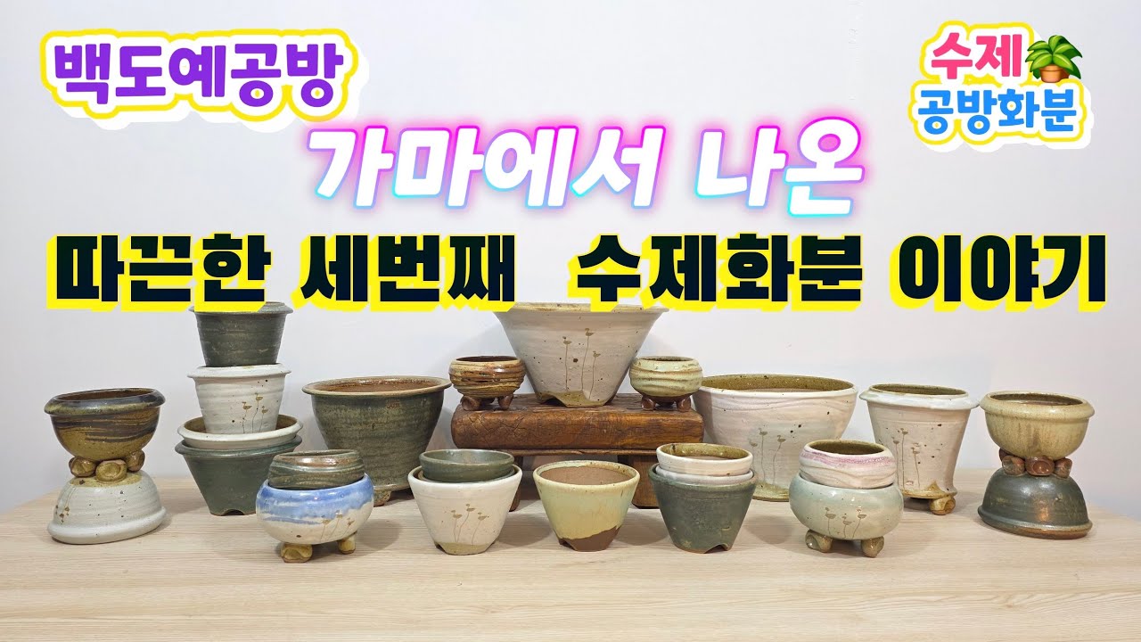 20260312(289회 영상)봄햇살처럼 따뜻한 수제공방화분입니다🤗🪴#수제화분#공방화분#야생화화분 #다육화분#고급화분#아프리카식물 #분갈이화분#명품화분#식재#분청화분 #솟대화분  
